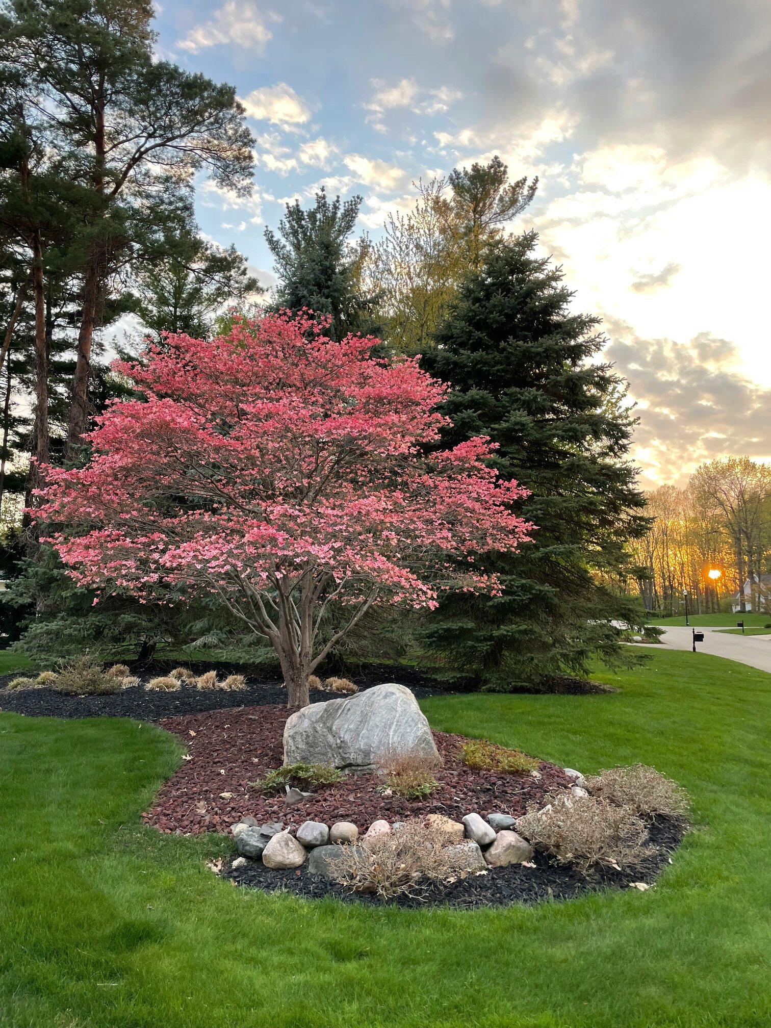 Landscape bed design